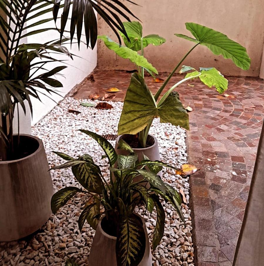 Apartment Espacio Ciruelos Ituzaingo Ituzaingo (Buenos Aires)